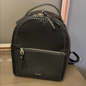 Calpak Elegant Black Backpack